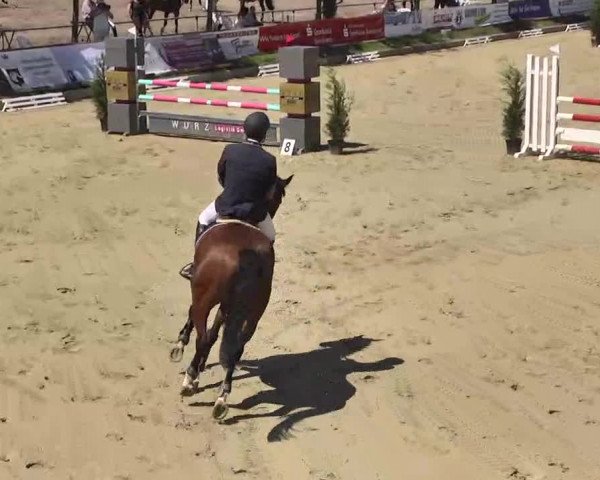 Springturnier Schwanheim 2016