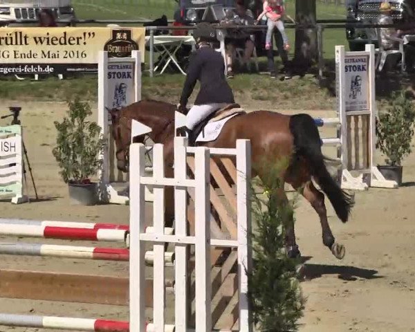 Springturnier Schwanheim 2016