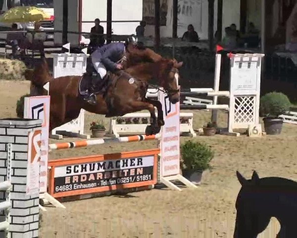 Springturnier Schwanheim 2016