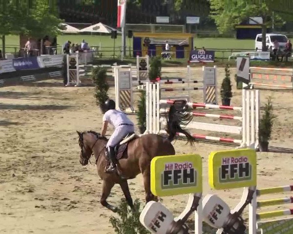 Springturnier Schwanheim 2016