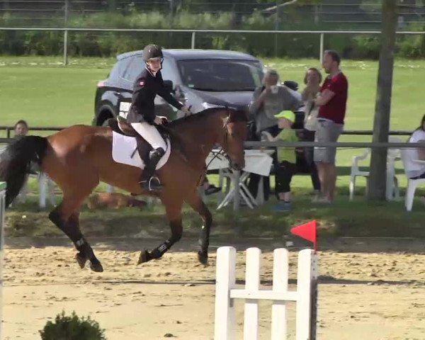 Springturnier Schwanheim 2016