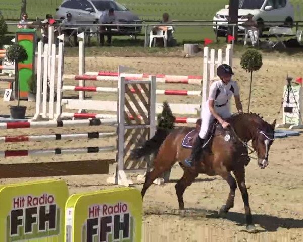 Springturnier Schwanheim 2016