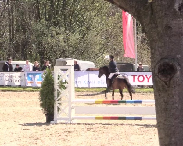 Reitturnier Halver 2016