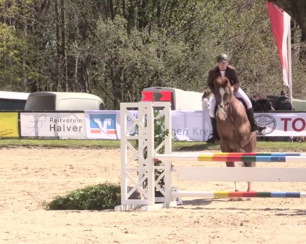 Reitturnier Halver 2016