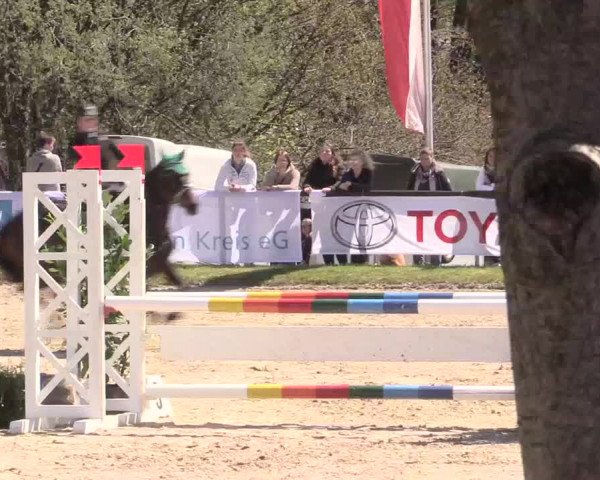 Reitturnier Halver 2016