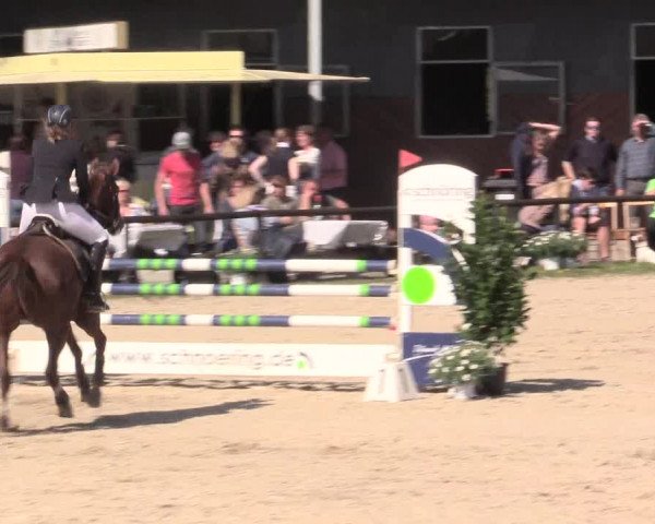 Reitturnier Halver 2016