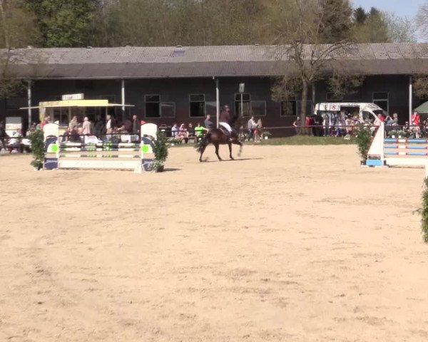 Reitturnier Halver 2016
