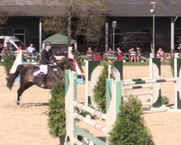 Reitturnier Halver 2016