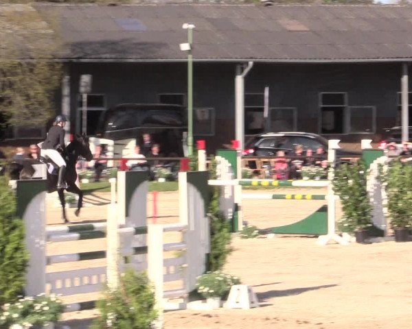 Reitturnier Halver 2016