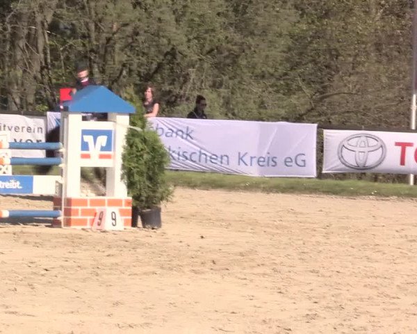 Reitturnier Halver 2016