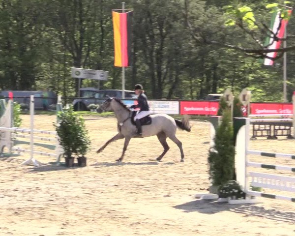 Reitturnier Halver 2016