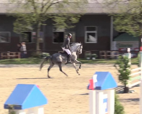Reitturnier Halver 2016