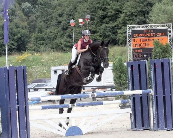 broodmare Imagine CH (Swiss Warmblood, 1996, from Ingo V CH)