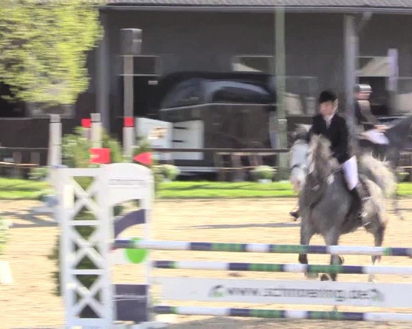 Reitturnier Halver 2016