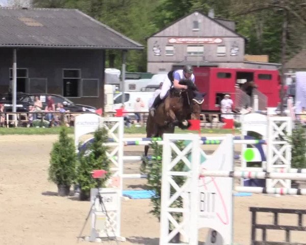 Reitturnier Halver 2016