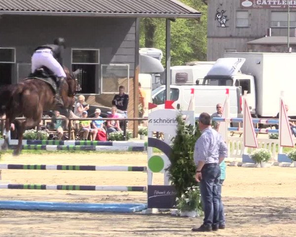 Reitturnier Halver 2016