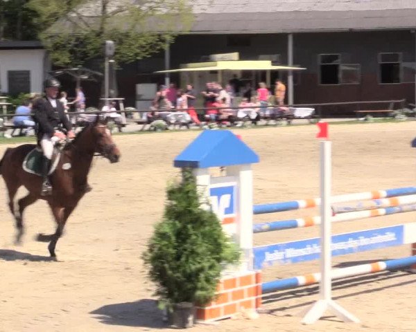 Reitturnier Halver 2016
