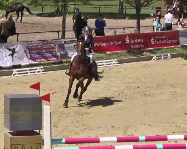 Springturnier Schwanheim 2016
