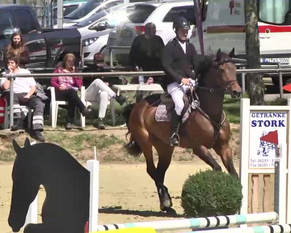 Springturnier Schwanheim 2016