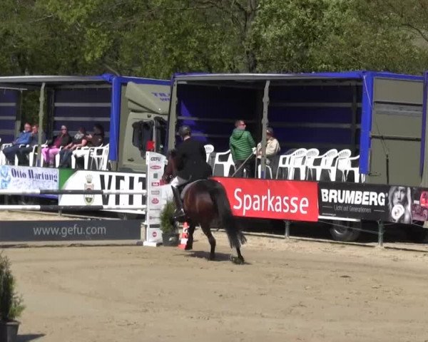 Reitturnier Hellefeld 2016