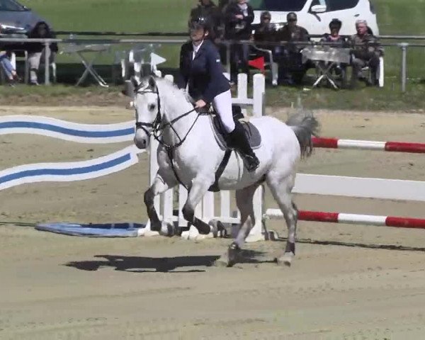 Springturnier Schwanheim 2016