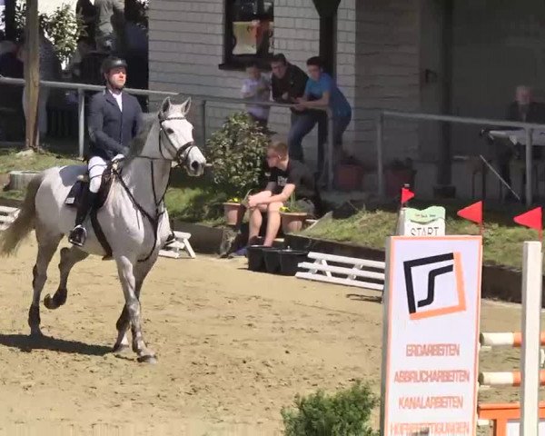 Springturnier Schwanheim 2016