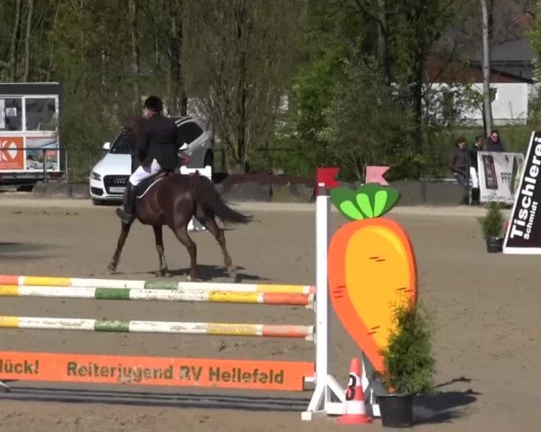 Reitturnier Hellefeld 2016