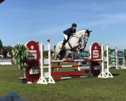 broodmare Calea J (Oldenburg show jumper, 2014, from Cador 5)