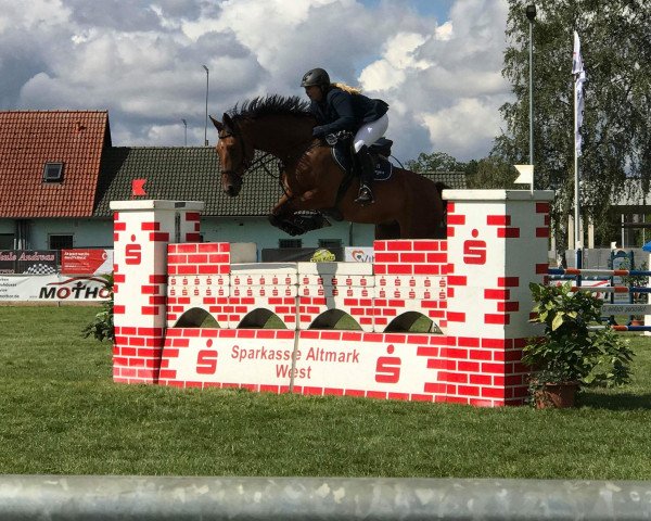 jumper Clark J (Oldenburg show jumper, 2011, from Carpathos)