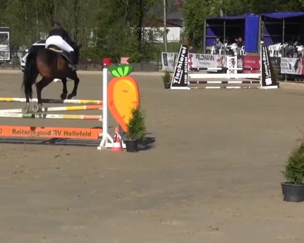 Reitturnier Hellefeld 2016