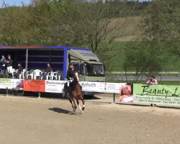 Reitturnier Hellefeld 2016