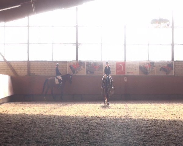 Reitturnier Hellefeld 2016