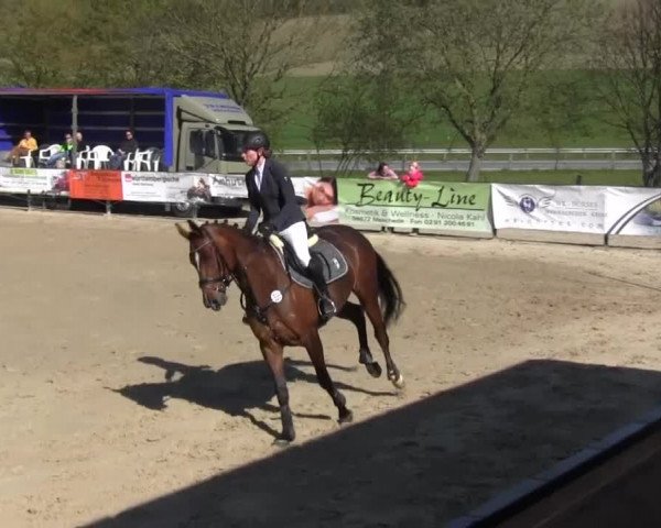 Reitturnier Hellefeld 2016