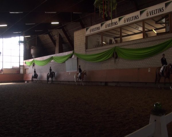 Reitturnier Hellefeld 2016