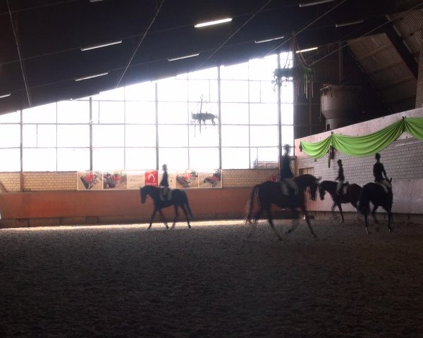 Reitturnier Hellefeld 2016
