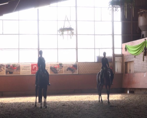 Reitturnier Hellefeld 2016