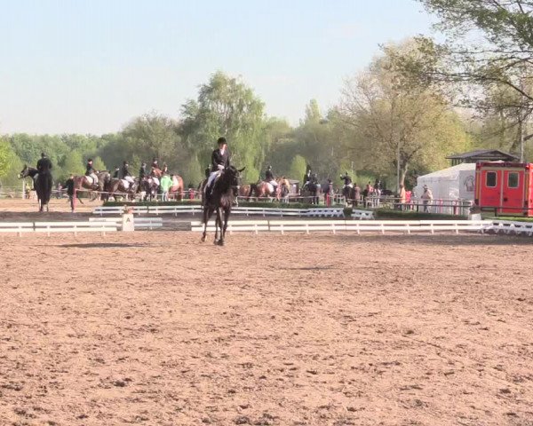 Reitturnier Hamm-Rhynern 2016