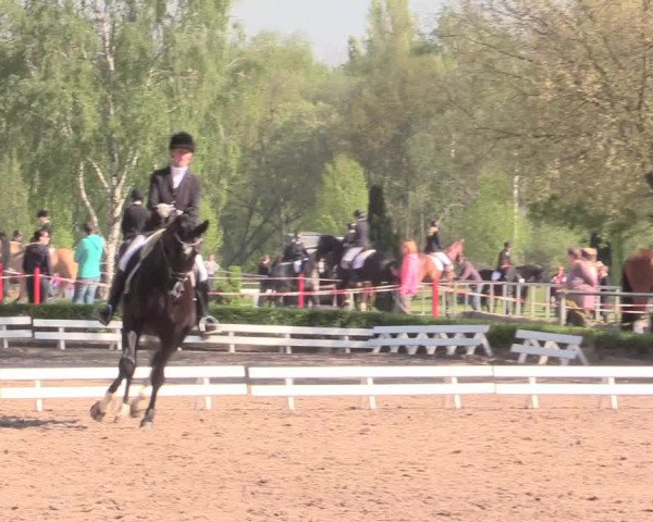 Reitturnier Hamm-Rhynern 2016