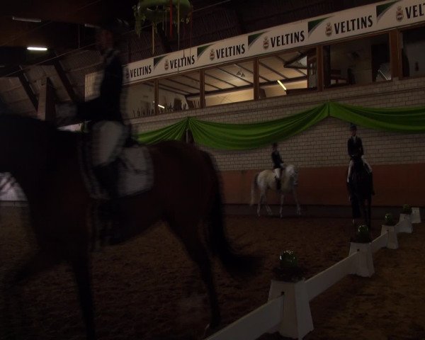 Reitturnier Hellefeld 2016