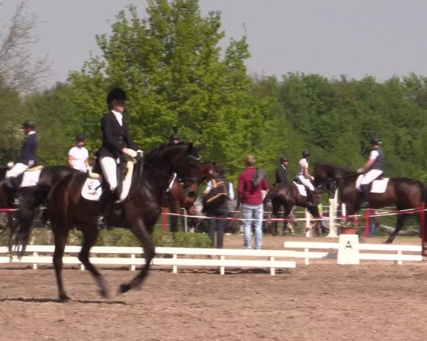 Reitturnier Hamm-Rhynern 2016