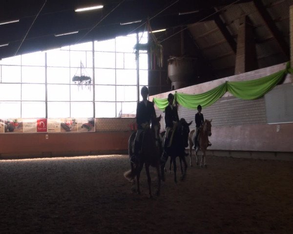 Reitturnier Hellefeld 2016