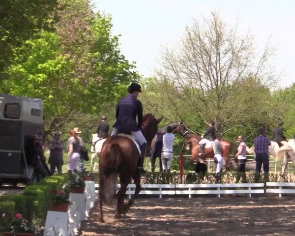 Reitturnier Hamm-Rhynern 2016
