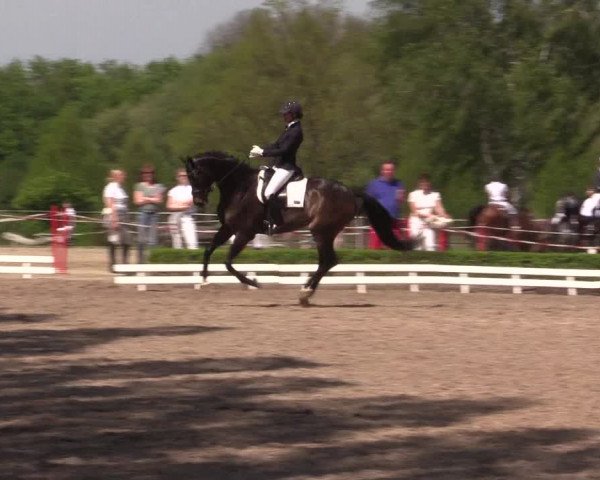 Reitturnier Hamm-Rhynern 2016