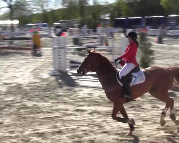 Reitturnier Hellefeld 2016