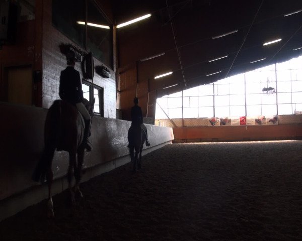 Reitturnier Hellefeld 2016