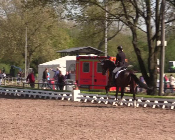 Reitturnier Hamm-Rhynern 2016