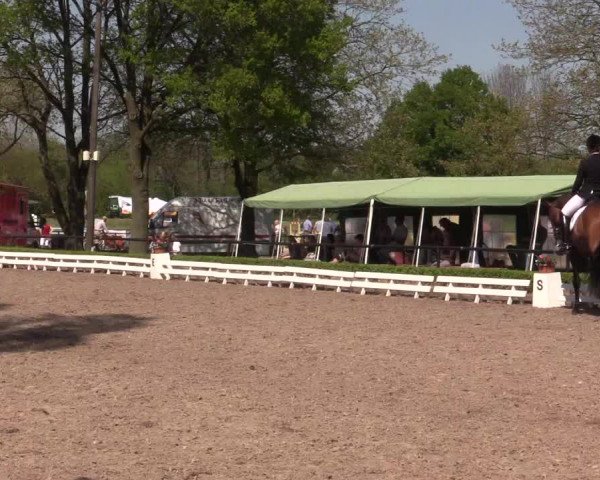 Reitturnier Hamm-Rhynern 2016
