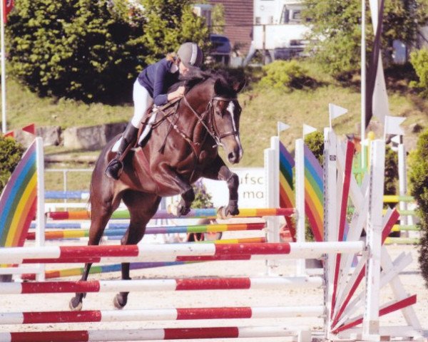 broodmare Oriane des Baumes CH (Swiss Warmblood, 2007, from Landjuweel St Hubert)