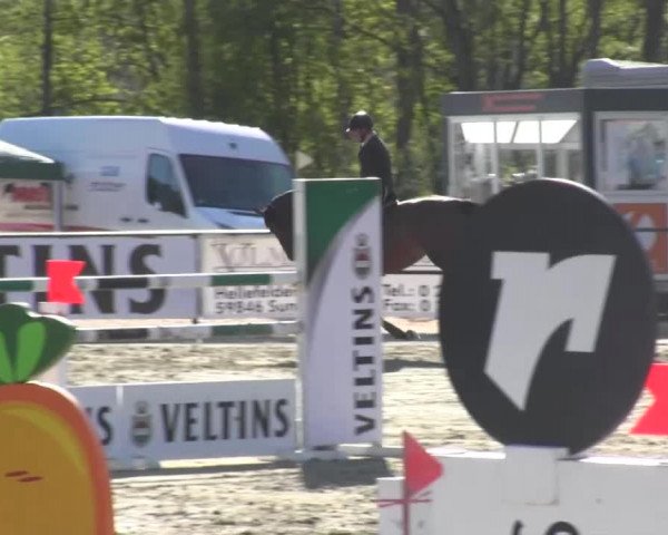 Reitturnier Hellefeld 2016