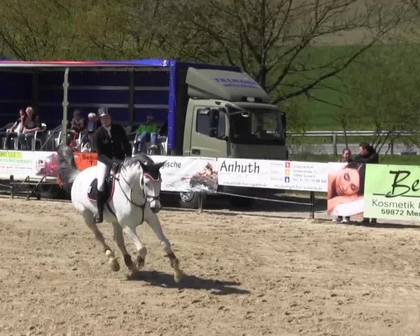 Reitturnier Hellefeld 2016